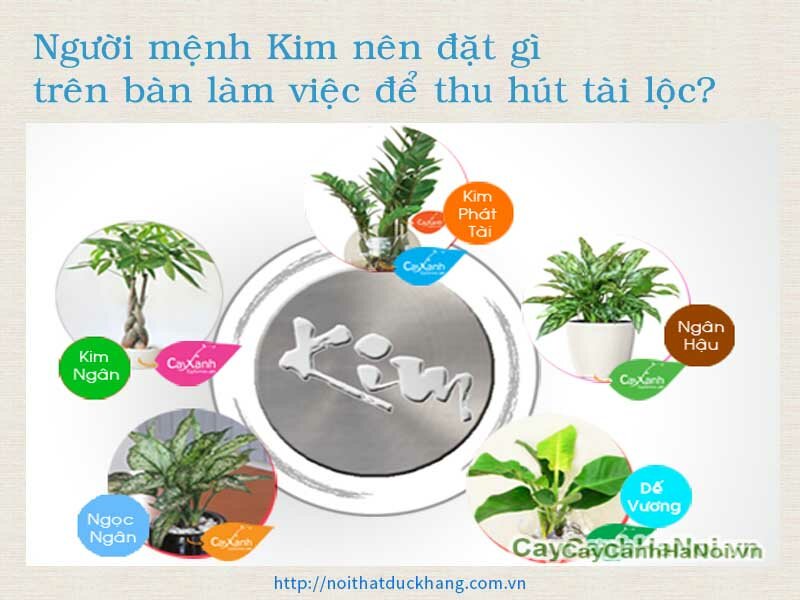 Người mệnh kim nên để gì trên bàn làm việc – tài lộc 2020